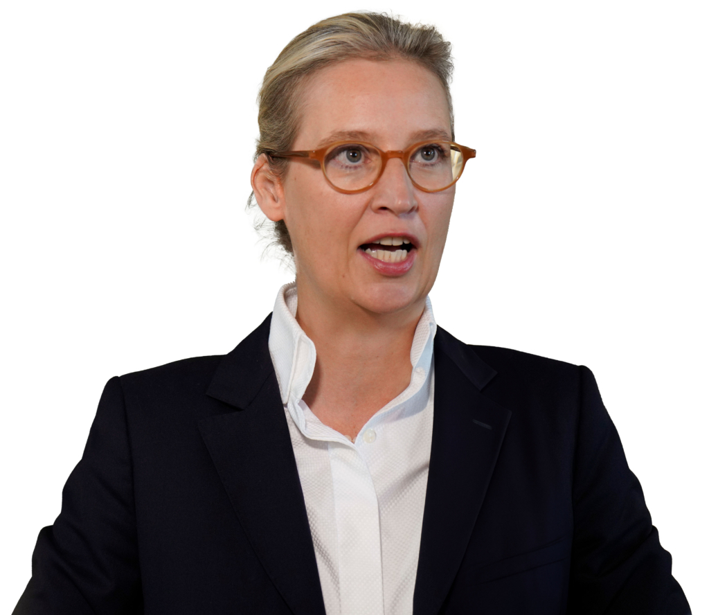 Wahlausschluss von AfD Politikern – Entzug des passiven Wahlrechts